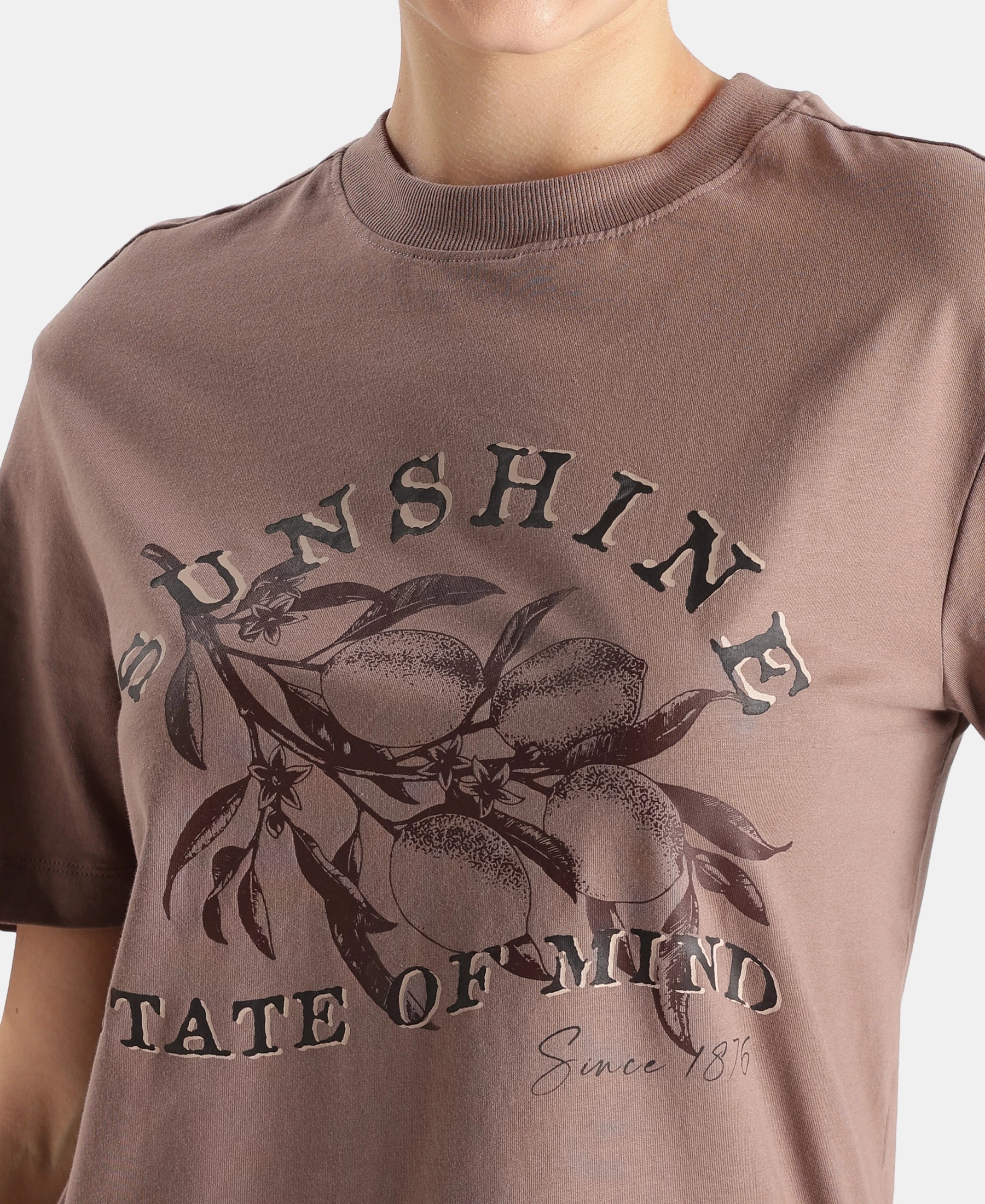 Super Combed Cotton Rich Oversized Printed T-Shirt - Deep Taupe - Image 7